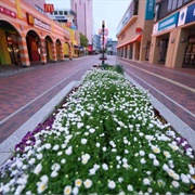 Tama Area (Whisper of the Heart)