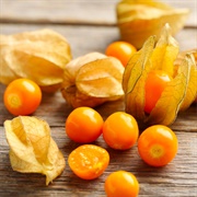 Ground Cherry