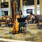 Live Music in Hotel Lobby/Lounge