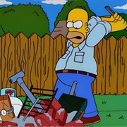 S10.E19: Mom and Pop Art