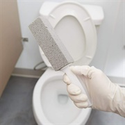 Pumice Cleaner