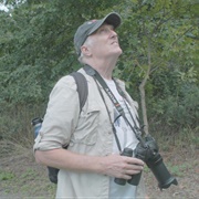 How to With John Wilson: "How to Watch Birds" (S3,E5)