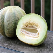 Montreal Melon