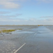 Pilgrims Way to Holy Island