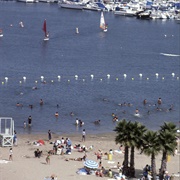 Mother's Beach Marina Del Rey