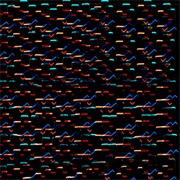 SHXCXCHCXSH - Kongestion