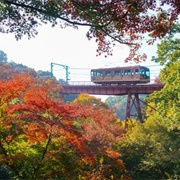 Yawata, Kyoto, Japan