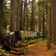 Whistler Train Wreck