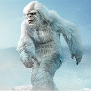 Yeti