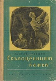 The Precious Stone (Andrey Gulyashki)