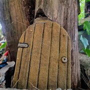 Grandad's Magical Wonderland