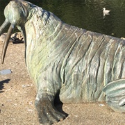 Mowbray Park Walrus