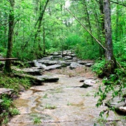 Cedars of Lebanon State Park