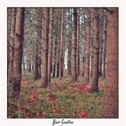 Beggars and Liars - Barn Swallow