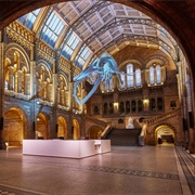 Natural History Museum of London
