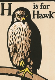 H Is for Hawk (MacDonald, Helen)