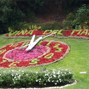 Reloj De Flores (Flower Clock)