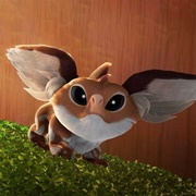 Gedonian Ground Weevil