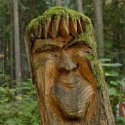 The Enchanted Forest