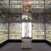 Hunterian Museum