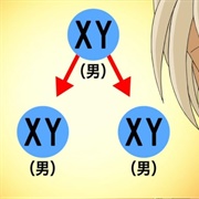 S34.E2: Wedding Eve: Part 2