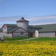Ross Creek Centre for the Arts