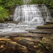 Pisgah National Forest, NC