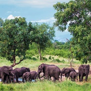 Majete Wildlife Reserve, Malawi