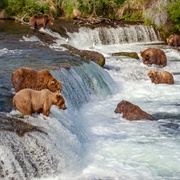 Brooks Falls, Katmai National Park, Alaska, USA