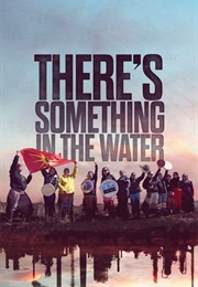 There's Something in the Water (2019)