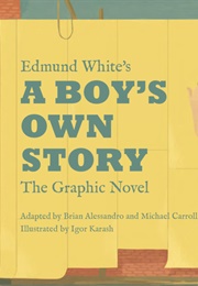 Edmund White's a Boy's Own Story: The Graphic Novel (Edmund White, Igor Karash (Illustrator), Brian Ale)