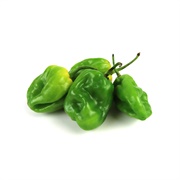 Green Habanero