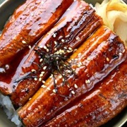 Japanese Eel