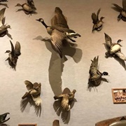 West Virginia State Farm Museum