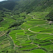 Kasuga Rice Terraces, Hirado