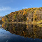 Jenny Jump State Forest