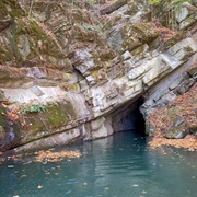 Penn's Cave