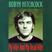My Wife and My Dead Wife - Robyn Hitchcock