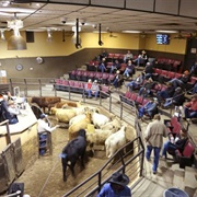 Oklahoma National Stockyards