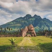 Volcanoes National Park, Rwanda