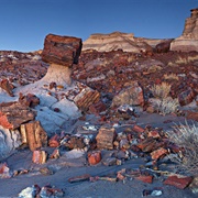 Petrified Forest, USA