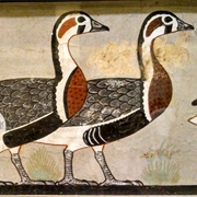 Meidum Geese