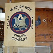 The American Pigeon Museum
