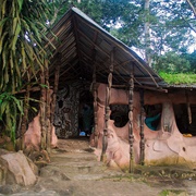 Osun Osogbo Sacred Grove, Nigeria