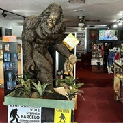 Cryptozoology & Paranormal Museum