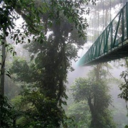 Monteverde Cloud Forest, Costa Rica