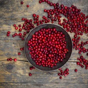 Lingonberry