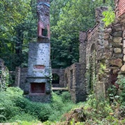 Ruins of the Cornish Estate