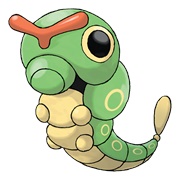 Caterpie
