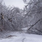 Ice Storm